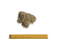 F 00042
<br/>
<br/>
<em></em>